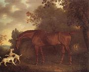 Clifton Tomson A Bay Hunter and Two Hounds in A Wooded Landscape oil
